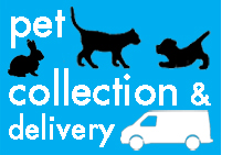 Cattery in Surrey